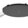 Hansgrohe Raindance Alive S Ducha fija 300 2jet EcoSmart mural codigo24540000