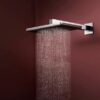 erT Hansgrohe Raindance Alive Q codigo 24530000